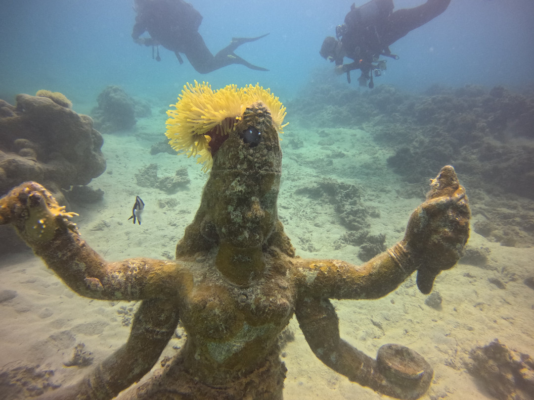 Scuba World Diving Mauritius-马喜埔必去景点
