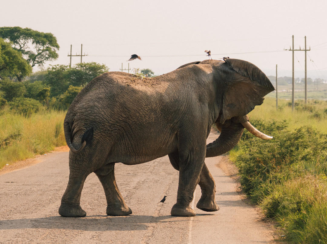 Deks Safaris & Tours Ltd-坎帕拉必去景点