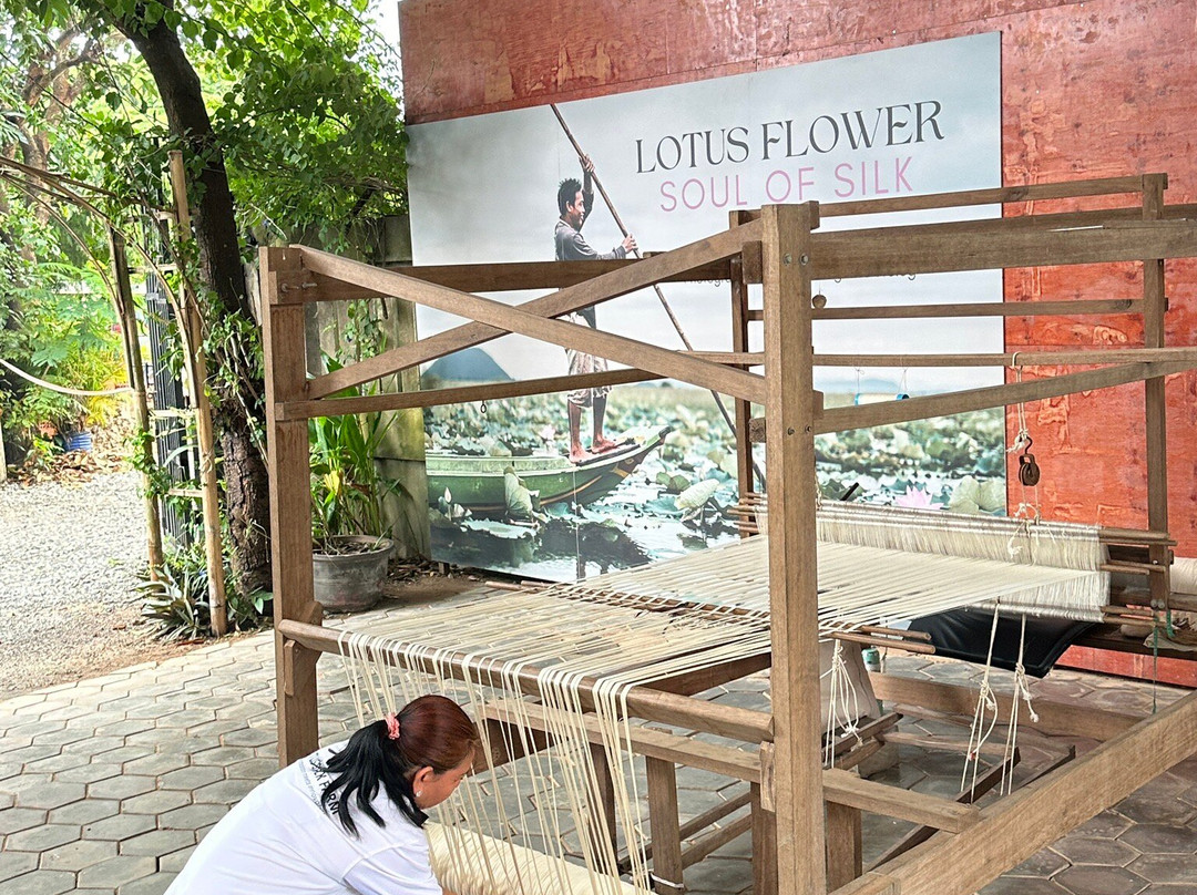 Lotus Farm Siem Reap-暹粒必去景点