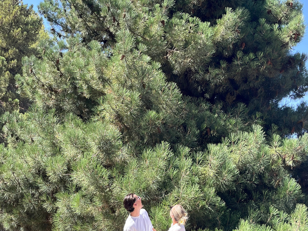 New Directions Travel-马拉喀什必去景点