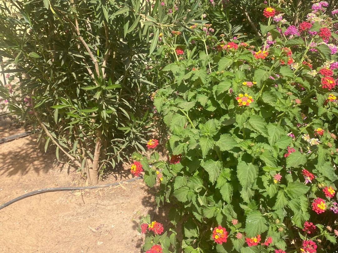 Hotel Bladi Palace主图