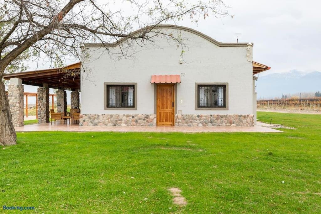 Calivista Vineyard