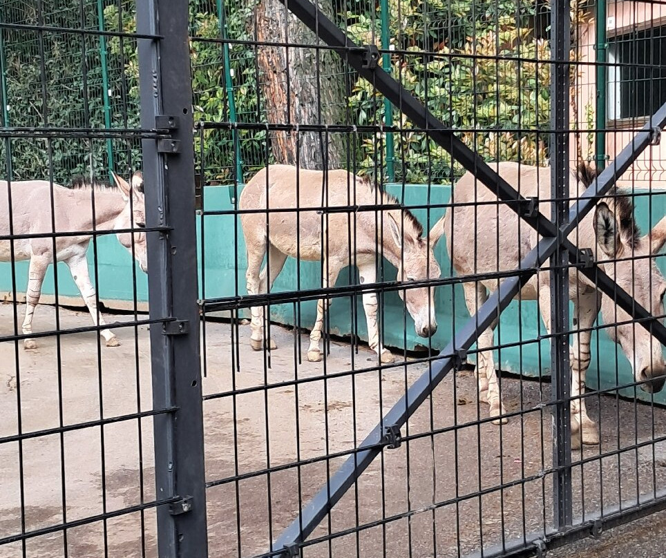 Parco Faunistico Le Cornelle-Valbrembo必去景点
