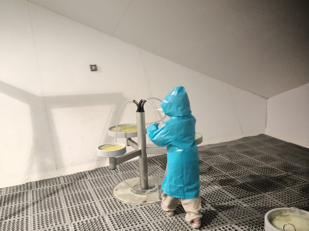 OliOli Doha-多哈必去景点