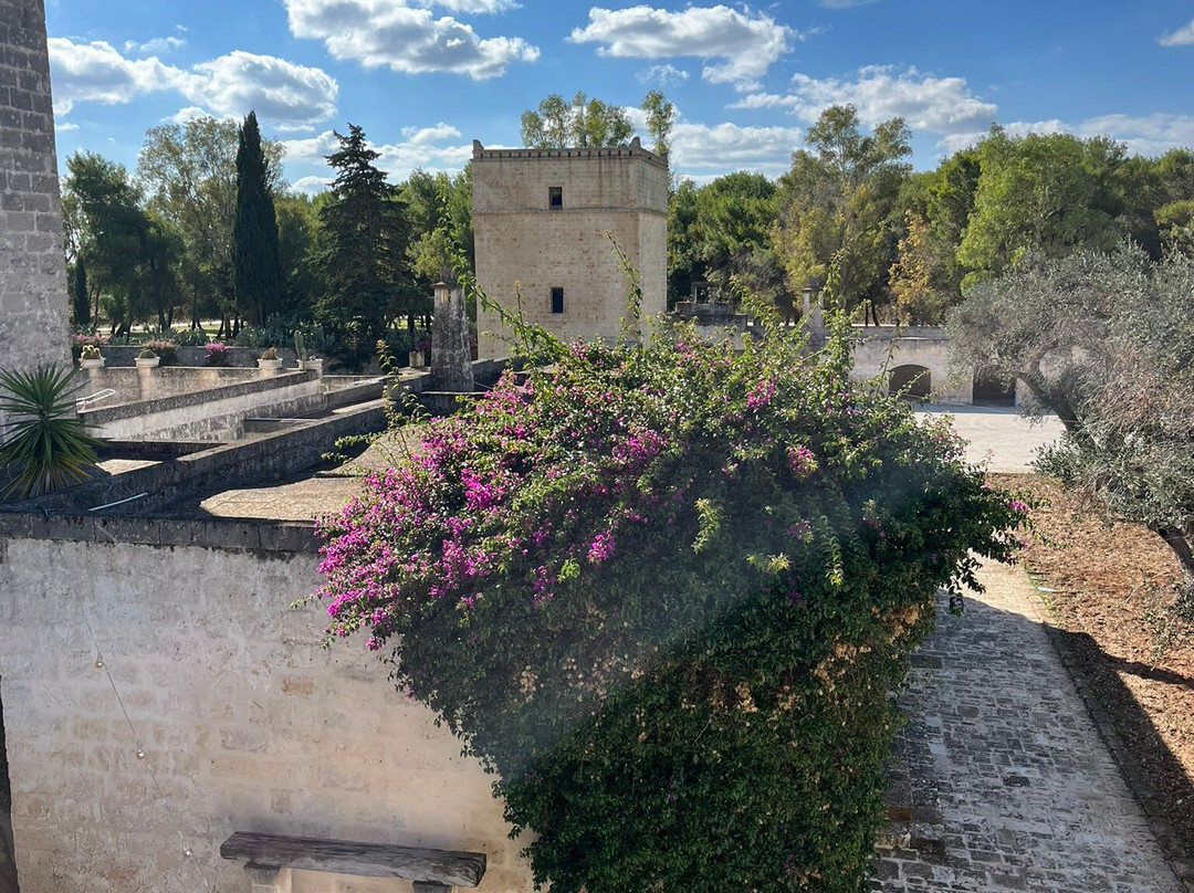 Masseria Altemura-Torre Santa Susanna必去景点
