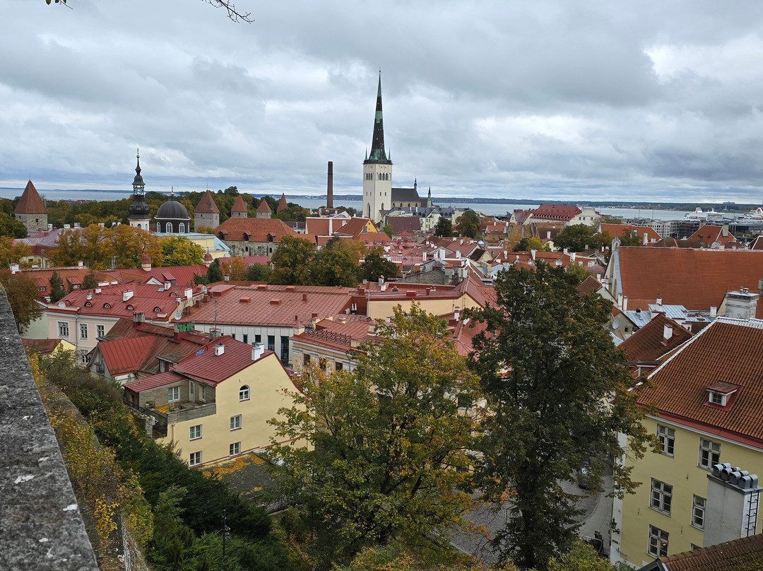 Nordic Experience-塔林必去景点