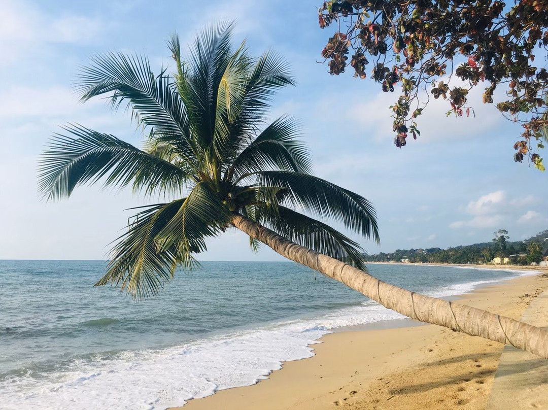 Seashells Restaurant & Bar Ko Samui