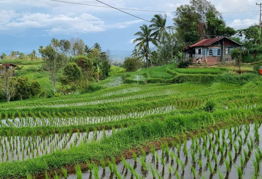 Erik Tour Bukittinggi-武吉丁宜必去景点