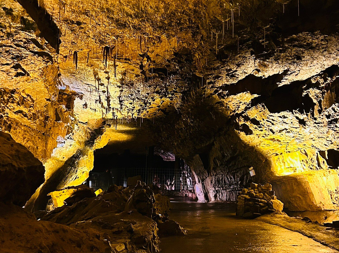 The National Showcaves Centre for Wales-null必去景点