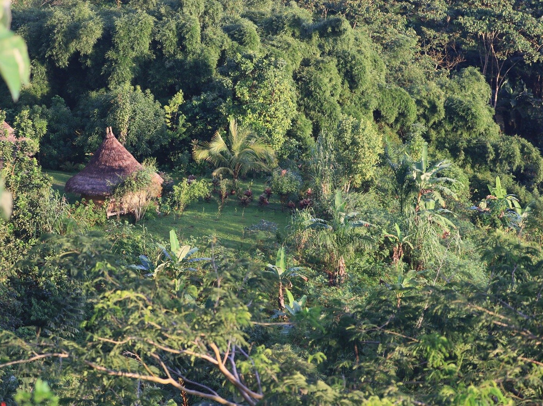 Awindua, Pueblito Indigena Wiwa-Minca必去景点