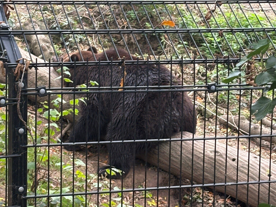 Bristol Zoo Project-Easter Compton必去景点