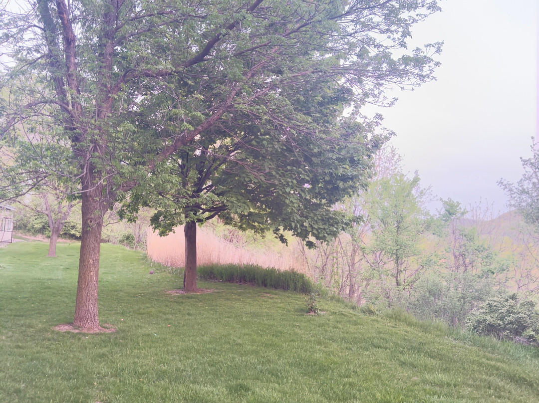 Stoney Creek Hotel La Crosse - Onalaska主图