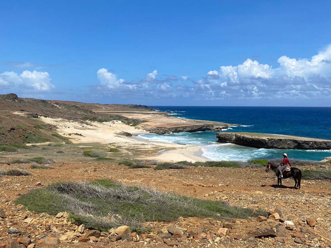 Rancho Loco-Santa Cruz必去景点
