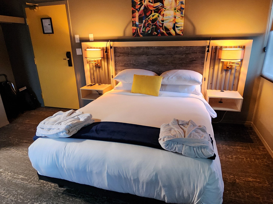 The Larix Hotel主图