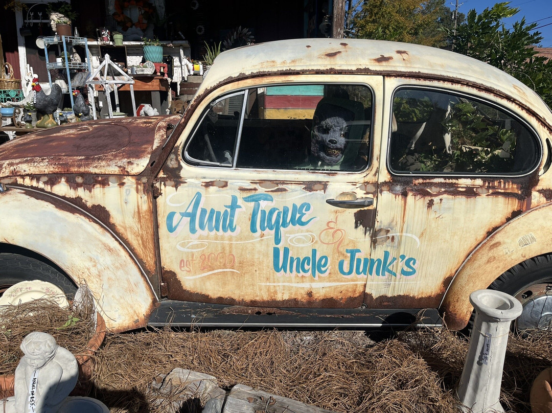 Aunt Tique & Uncle Junk's-Thomson必去景点