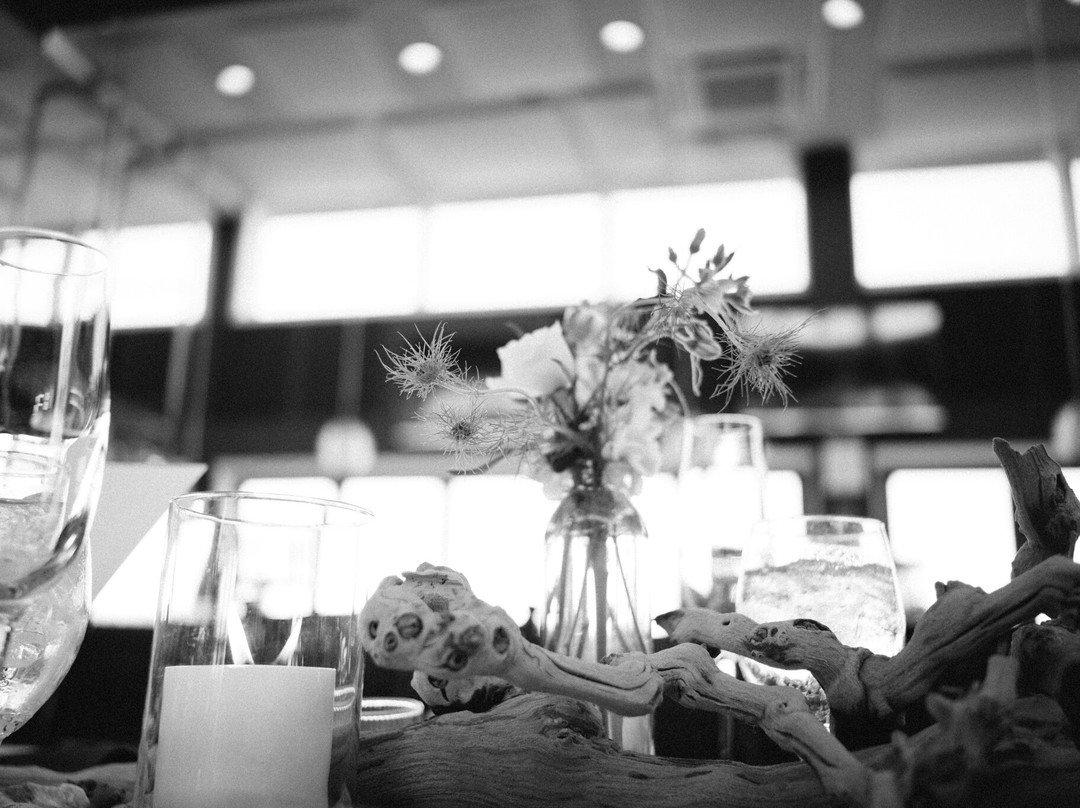 ICONA Windrift主图