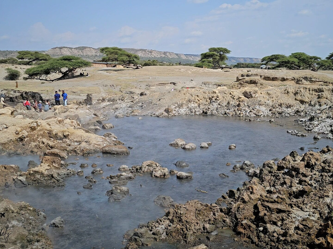 Abijata Shalla Lakes National Park-Shashamane必去景点