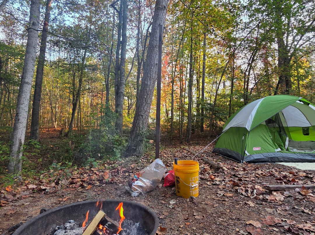 Jackrabbit Mountain Bike & Hiking Trails-Hayesville必去景点