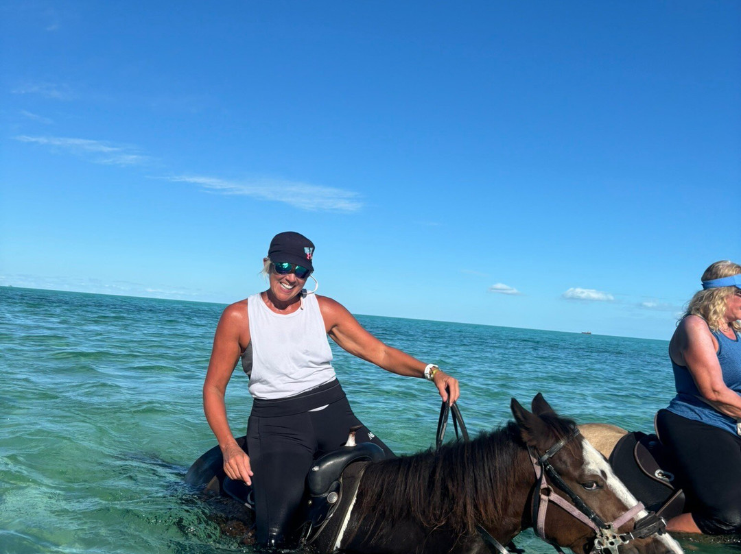 Provo Ponies-Long Bay Hills必去景点