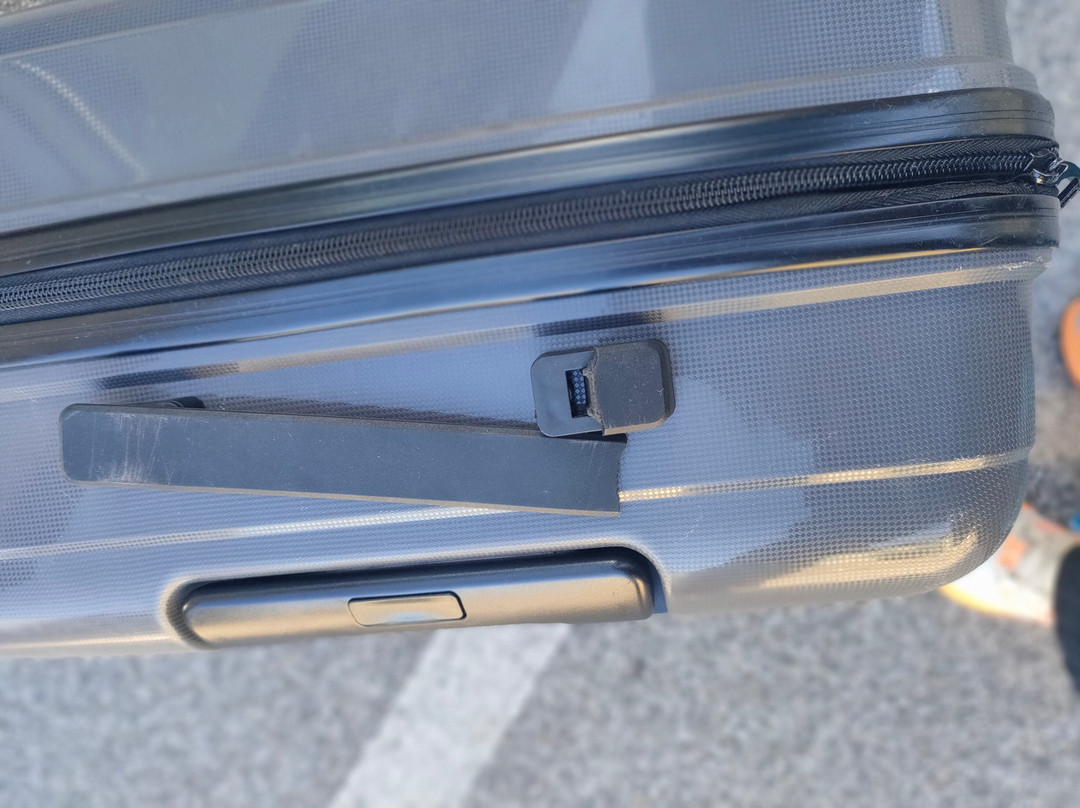 阿尔美提渡轮服务-帕皮提必去景点