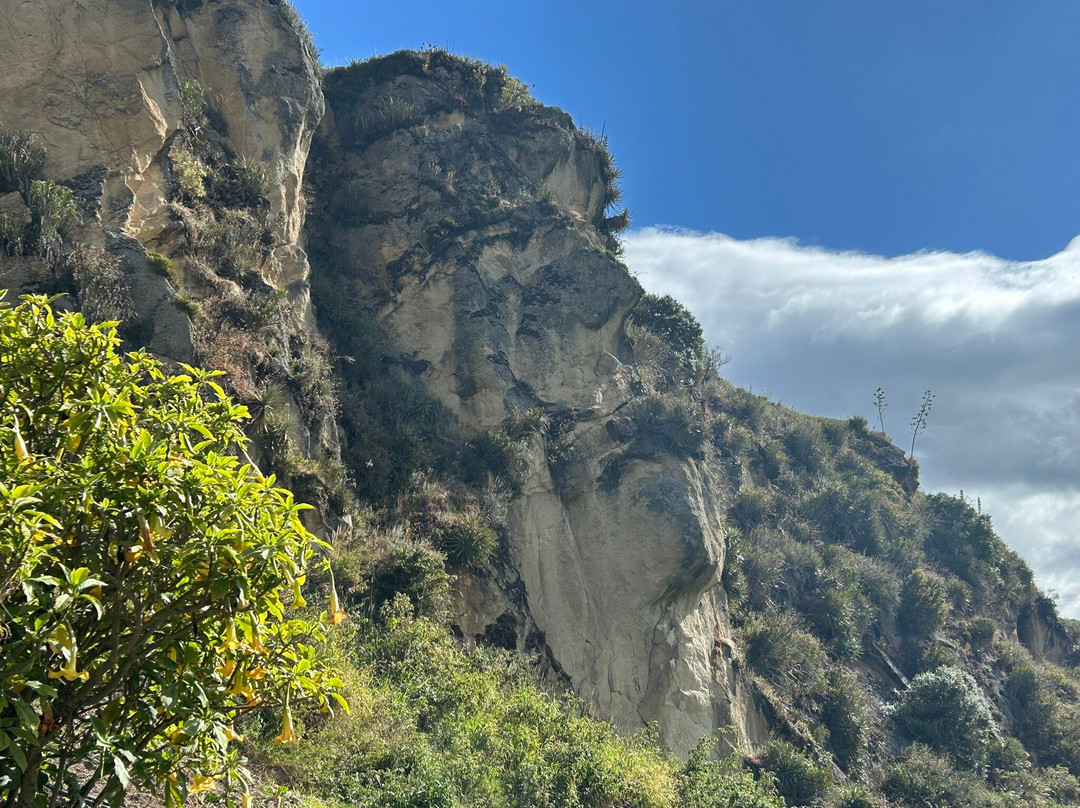 Cara del Inca-Ingapirca必去景点