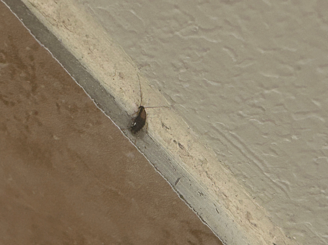 Quality Inn & Suites主图