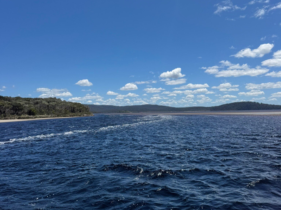 Wow Wilderness Ecocruises-沃泊尔必去景点