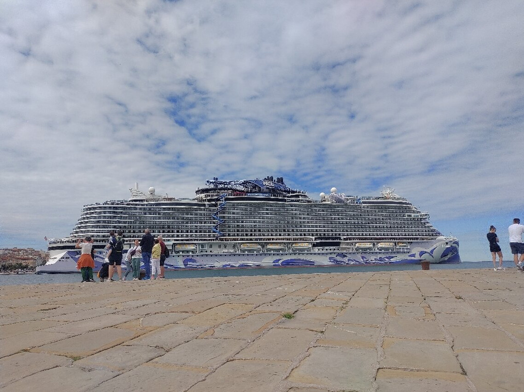 Molo Audace - Già "Molo S. Carlo"-的里雅斯特必去景点