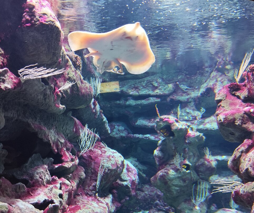 Planet Ocean Montpellier-蒙彼利埃必去景点