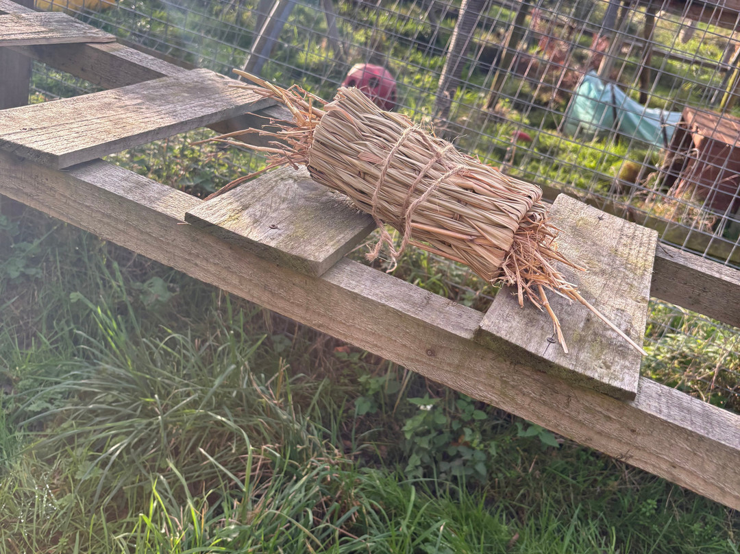 Ark Wildlife Park & Exotic Animal Sanctuary-Stickney必去景点