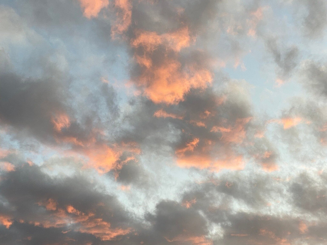 莫纳克亚山州游乐区-希洛必去景点