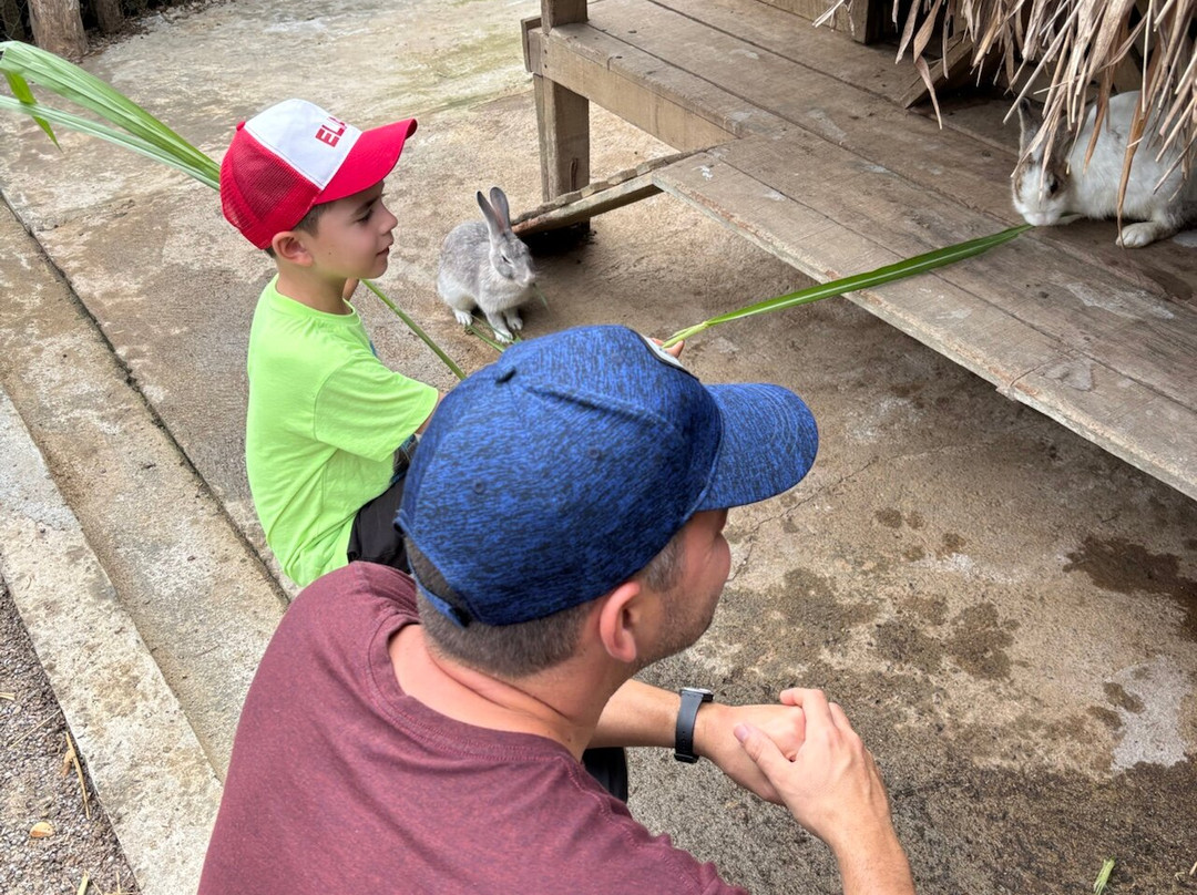 Laos Buffalo Dairy-琅勃拉邦必去景点