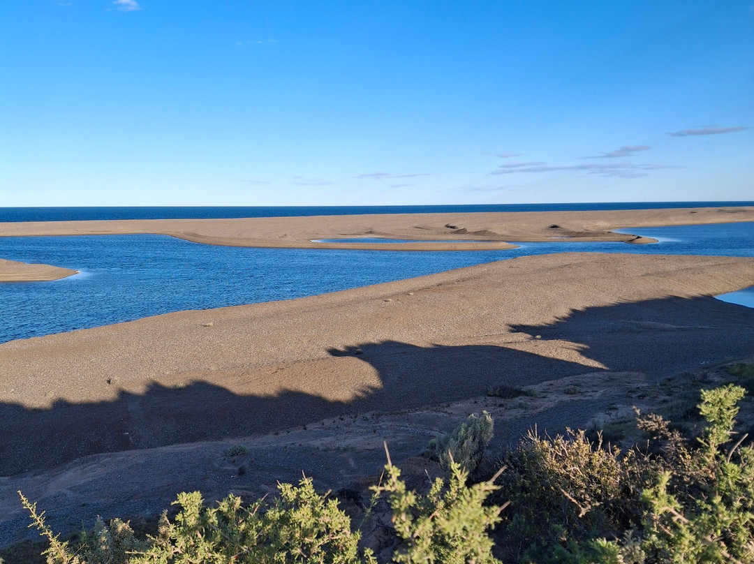 Caleta Valdes-Puerto Piramides必去景点