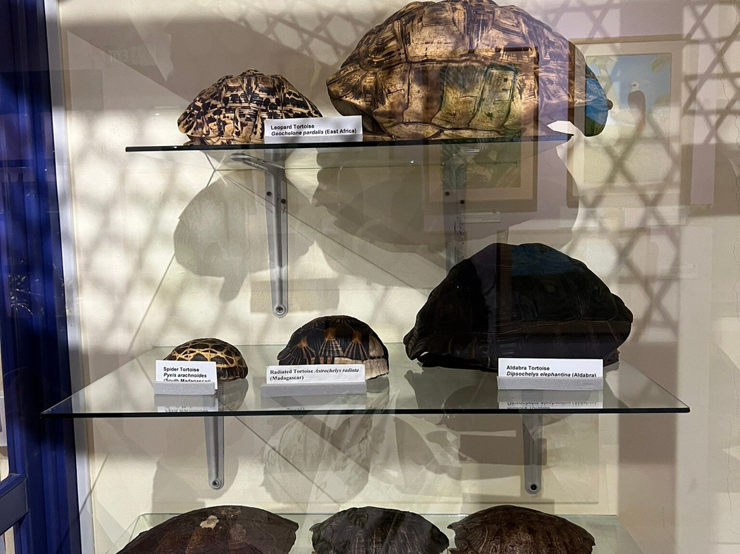 Francois Leguat Reserve-罗德里格斯岛必去景点