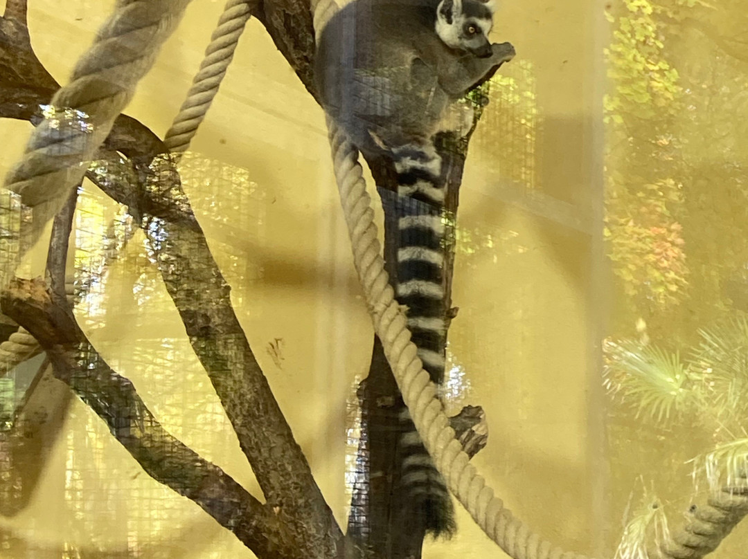 Tiergarten-韦尔斯必去景点