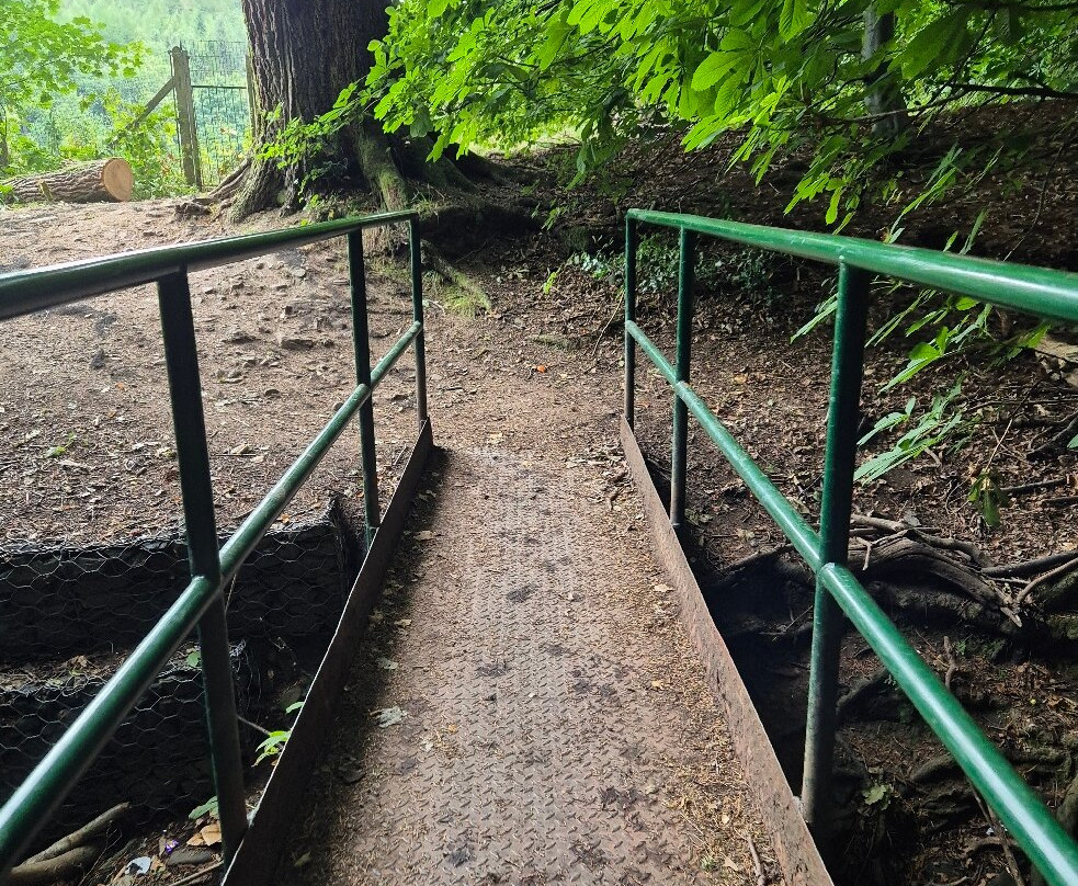 Gala Policies Community Woodland-Galashiels必去景点