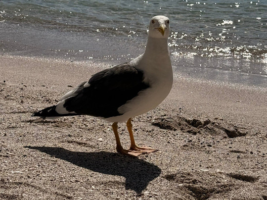 MIKA TOURS-拉巴斯必去景点