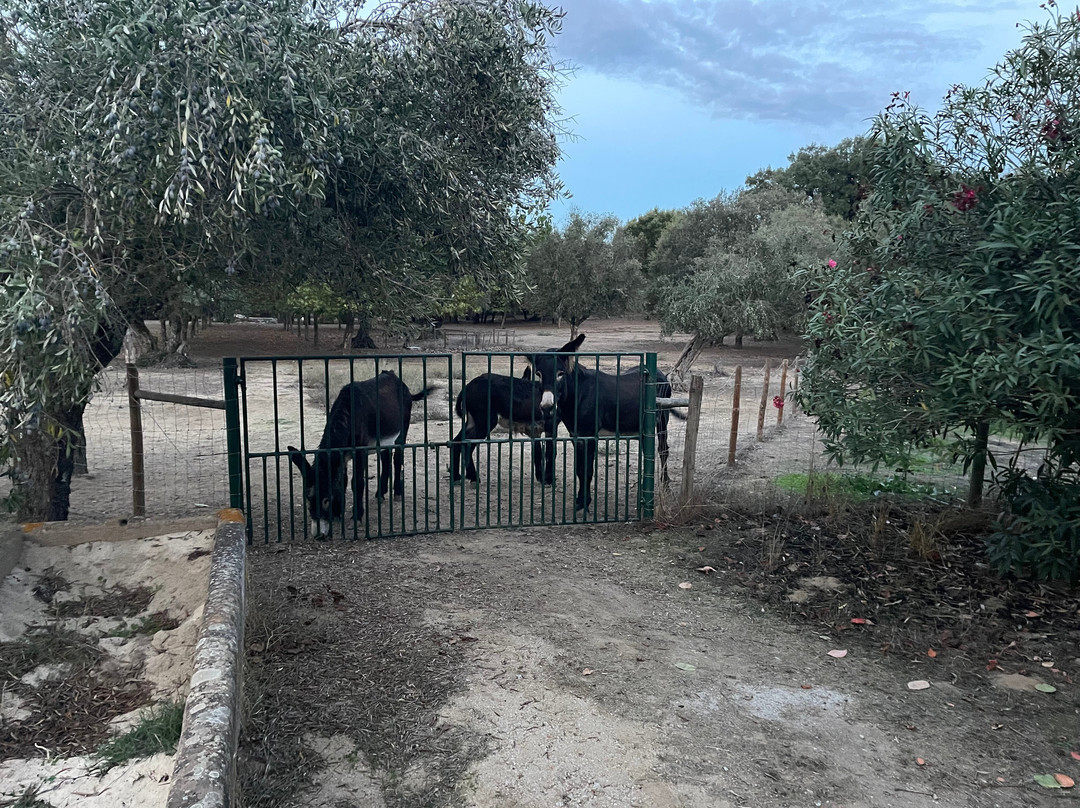 Portugal Best Cycling-埃武拉必去景点