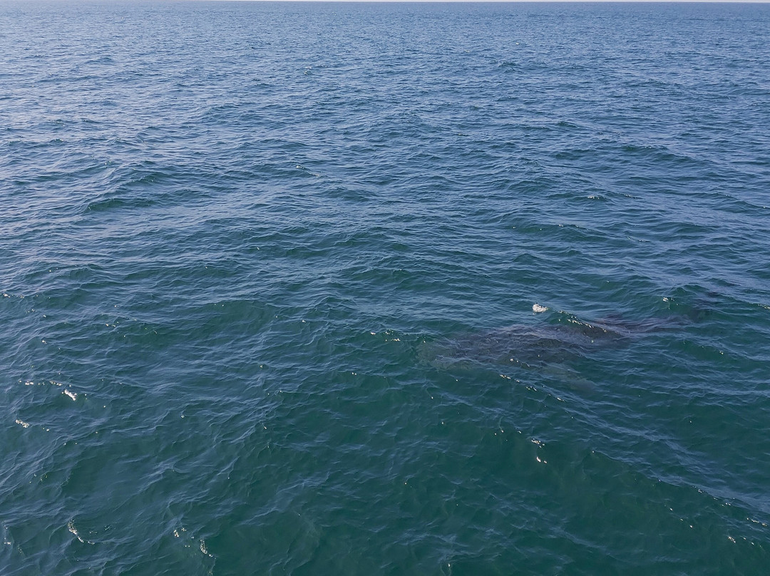 V Travel Sri-Lanka Excursions-科斯戈德必去景点