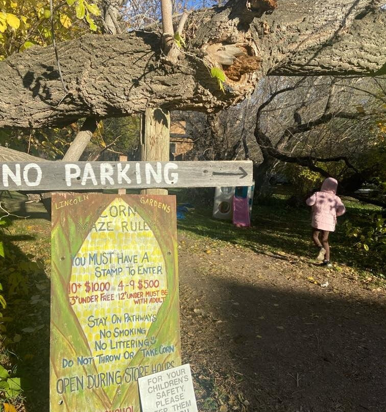 Lincoln Gardens-Lumsden必去景点