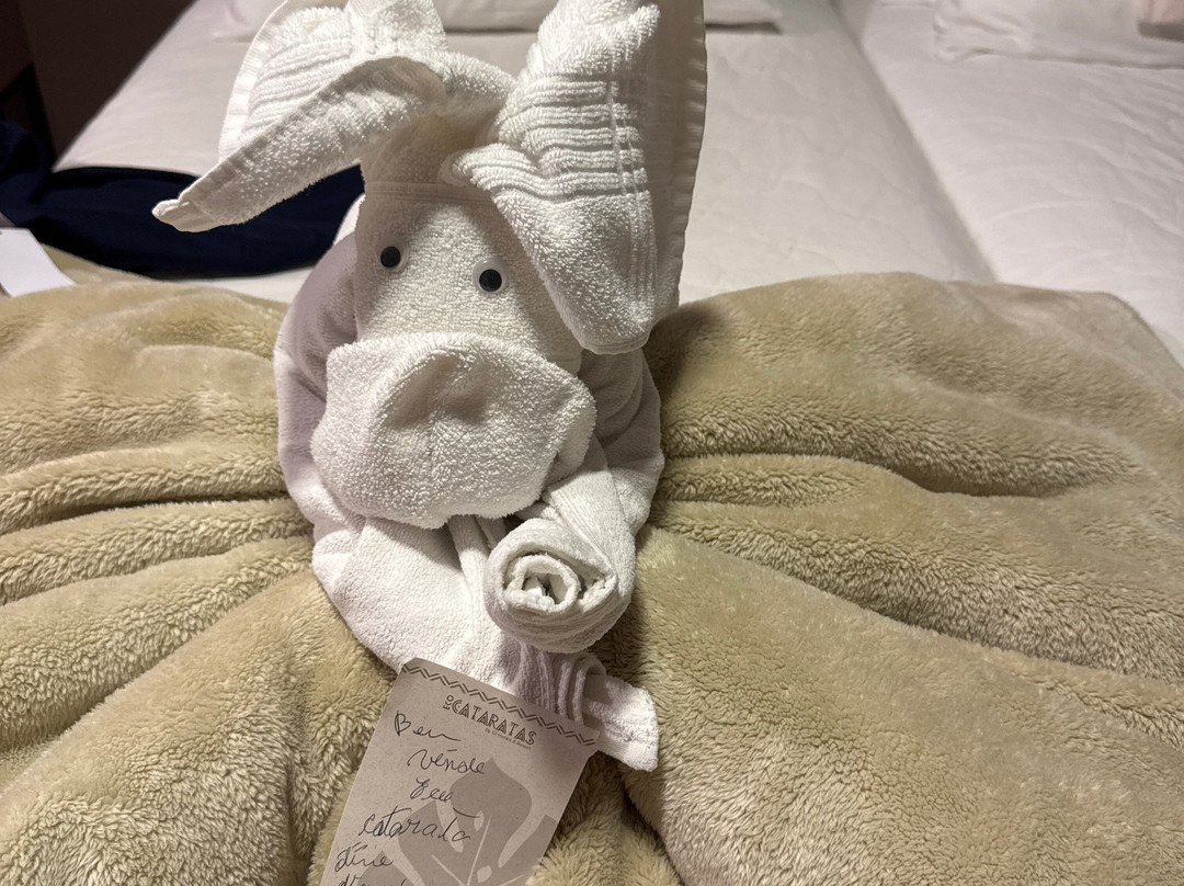 Complexo Eco Cataratas Resort主图