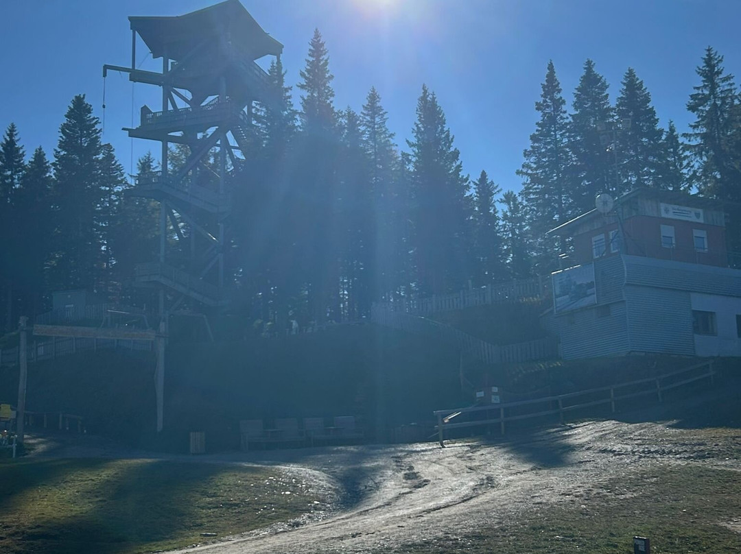 Hotel Belvedere主图