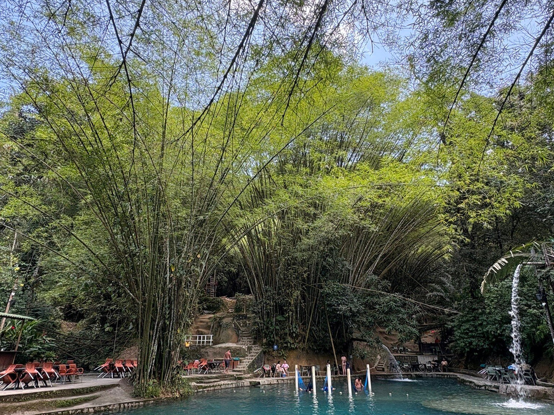 Santuário Ecológico Fazenda Santa Tereza-Atalaia必去景点