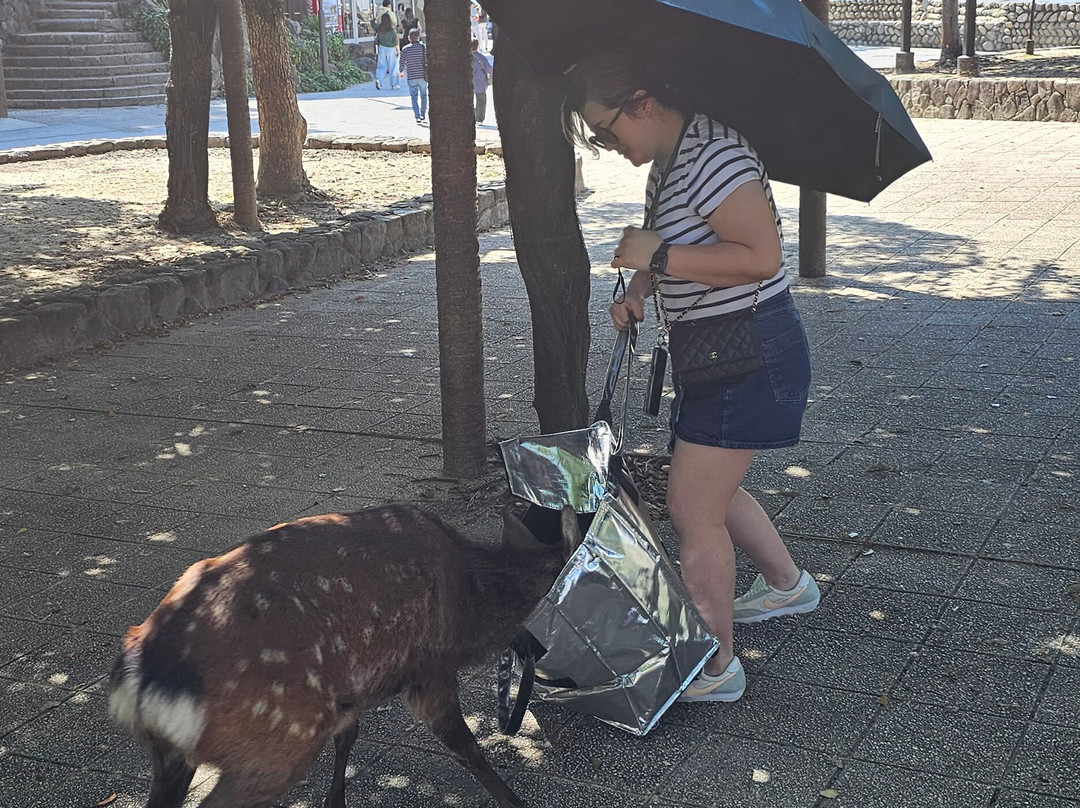 Miyajima Sambashimae Park-Itsukushima必去景点