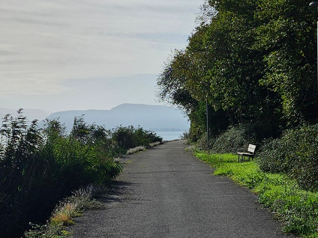 Lake Pamvotis-约阿尼纳州必去景点