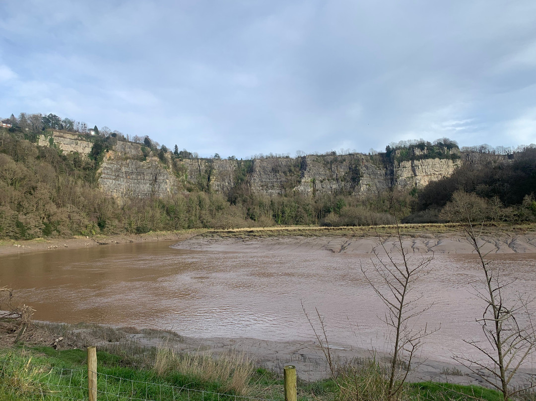 Lancaut Nature Reserve-切普斯托必去景点