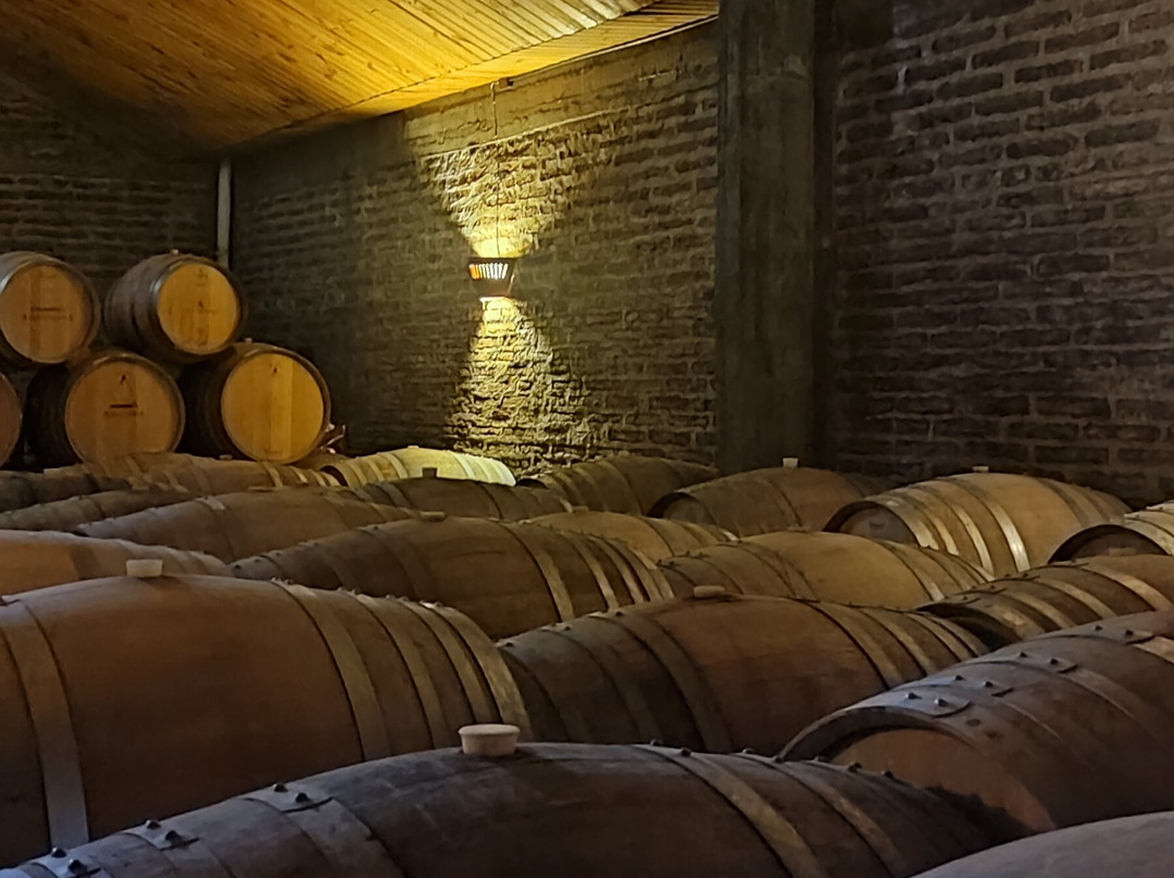 Vina Aquitania-圣地亚哥必去景点