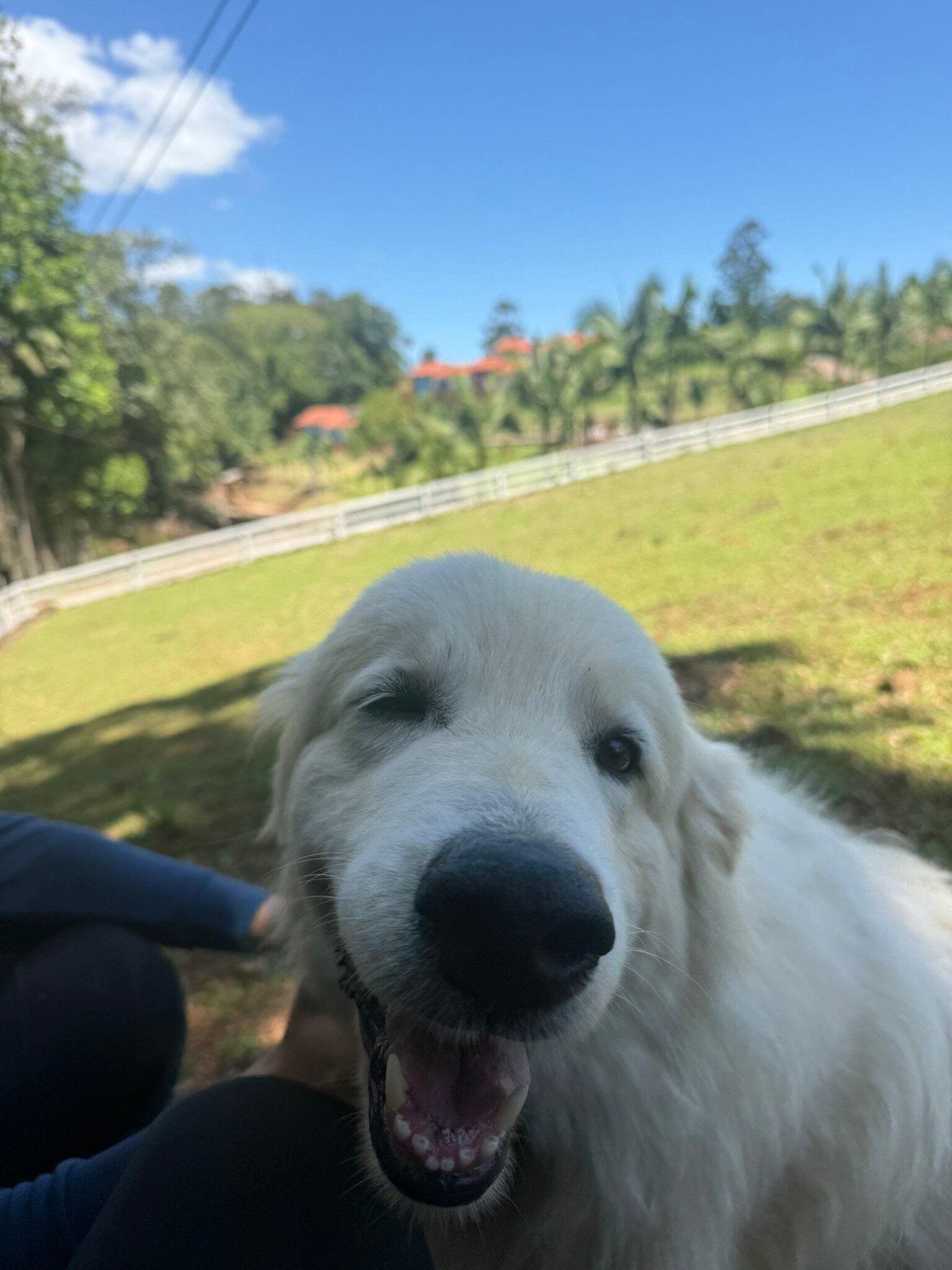 Pousada Di Venezia-官方