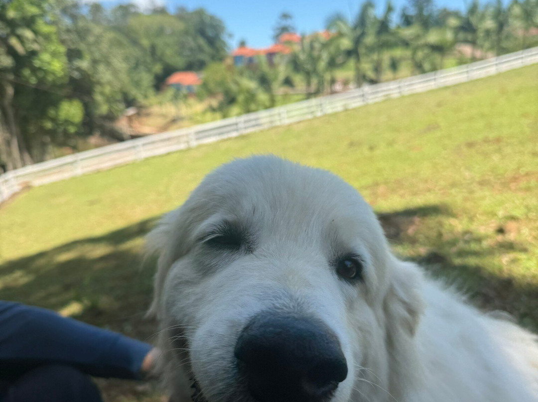 Pousada Di Venezia主图