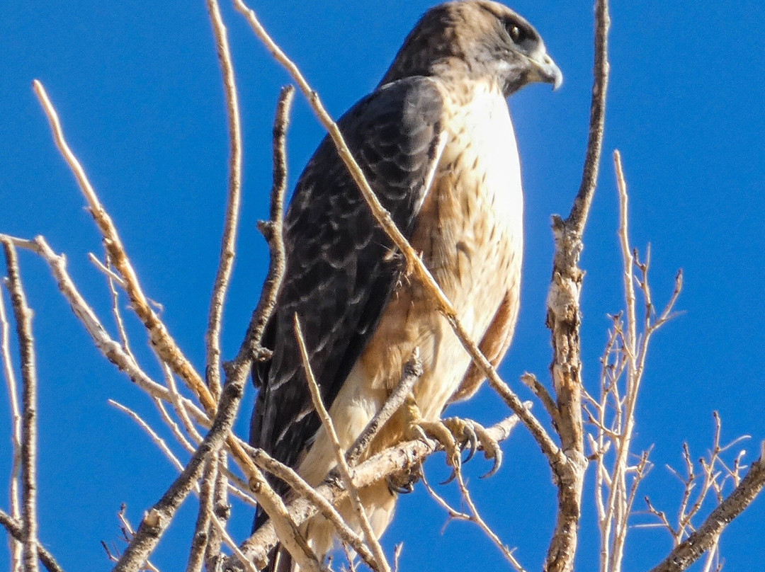 Get Lost Tours-Terlingua必去景点